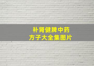 补肾健脾中药方子大全集图片