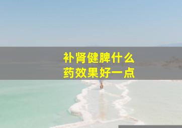 补肾健脾什么药效果好一点