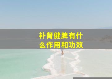 补肾健脾有什么作用和功效