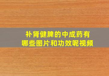 补肾健脾的中成药有哪些图片和功效呢视频