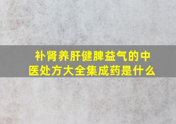 补肾养肝健脾益气的中医处方大全集成药是什么