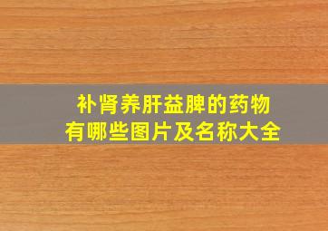 补肾养肝益脾的药物有哪些图片及名称大全