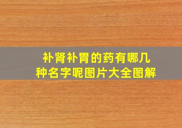 补肾补胃的药有哪几种名字呢图片大全图解