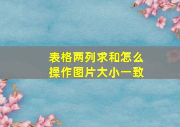 表格两列求和怎么操作图片大小一致