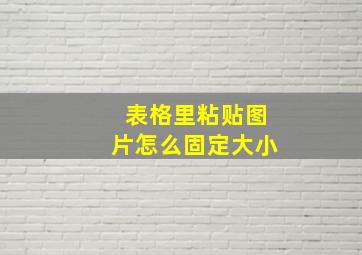 表格里粘贴图片怎么固定大小