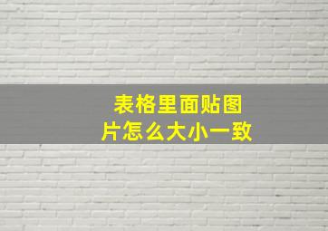 表格里面贴图片怎么大小一致