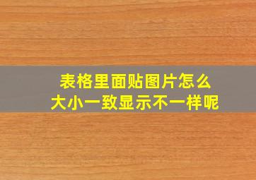 表格里面贴图片怎么大小一致显示不一样呢