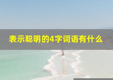 表示聪明的4字词语有什么