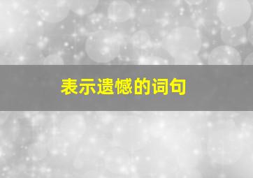 表示遗憾的词句