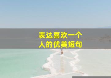 表达喜欢一个人的优美短句