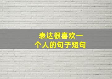 表达很喜欢一个人的句子短句