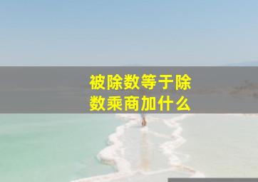 被除数等于除数乘商加什么