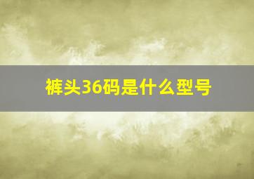 裤头36码是什么型号