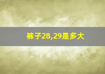 裤子28,29是多大