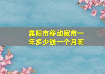 襄阳市移动宽带一年多少钱一个月啊