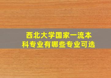 西北大学国家一流本科专业有哪些专业可选