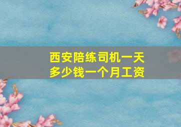 西安陪练司机一天多少钱一个月工资