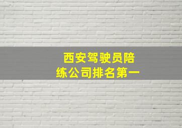 西安驾驶员陪练公司排名第一