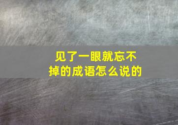 见了一眼就忘不掉的成语怎么说的