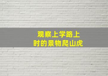 观察上学路上时的景物爬山虎