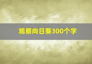 观察向日葵300个字