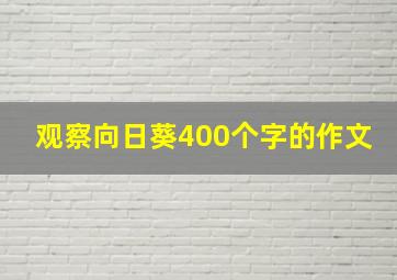 观察向日葵400个字的作文