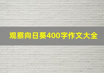 观察向日葵400字作文大全