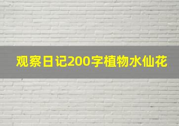 观察日记200字植物水仙花