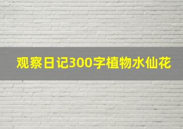 观察日记300字植物水仙花