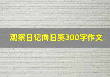 观察日记向日葵300字作文