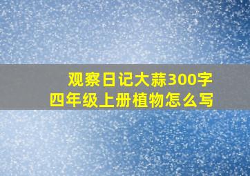 观察日记大蒜300字四年级上册植物怎么写