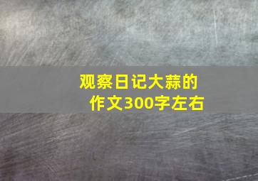 观察日记大蒜的作文300字左右