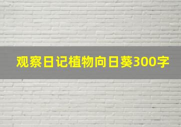 观察日记植物向日葵300字