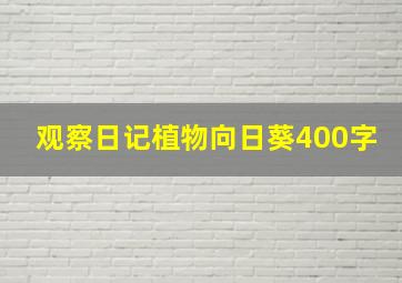 观察日记植物向日葵400字