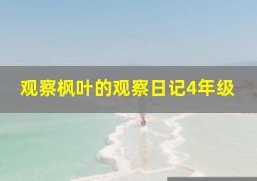 观察枫叶的观察日记4年级