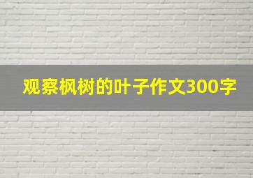 观察枫树的叶子作文300字