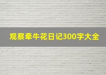 观察牵牛花日记300字大全