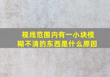 视线范围内有一小块模糊不清的东西是什么原因