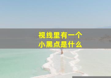 视线里有一个小黑点是什么