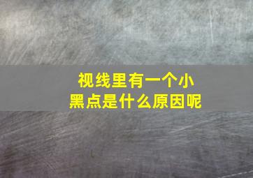 视线里有一个小黑点是什么原因呢