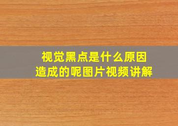 视觉黑点是什么原因造成的呢图片视频讲解