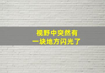 视野中突然有一块地方闪光了