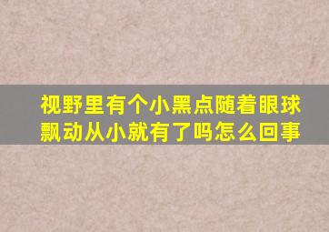 视野里有个小黑点随着眼球飘动从小就有了吗怎么回事