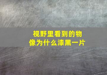 视野里看到的物像为什么漆黑一片