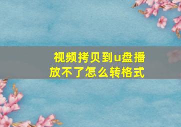 视频拷贝到u盘播放不了怎么转格式