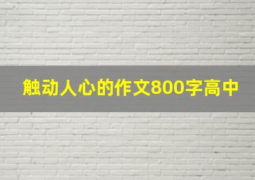 触动人心的作文800字高中