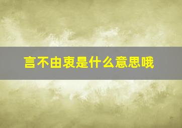 言不由衷是什么意思哦