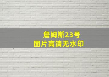 詹姆斯23号图片高清无水印