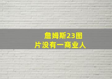 詹姆斯23图片没有一商业人