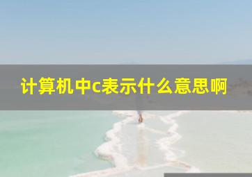 计算机中c表示什么意思啊